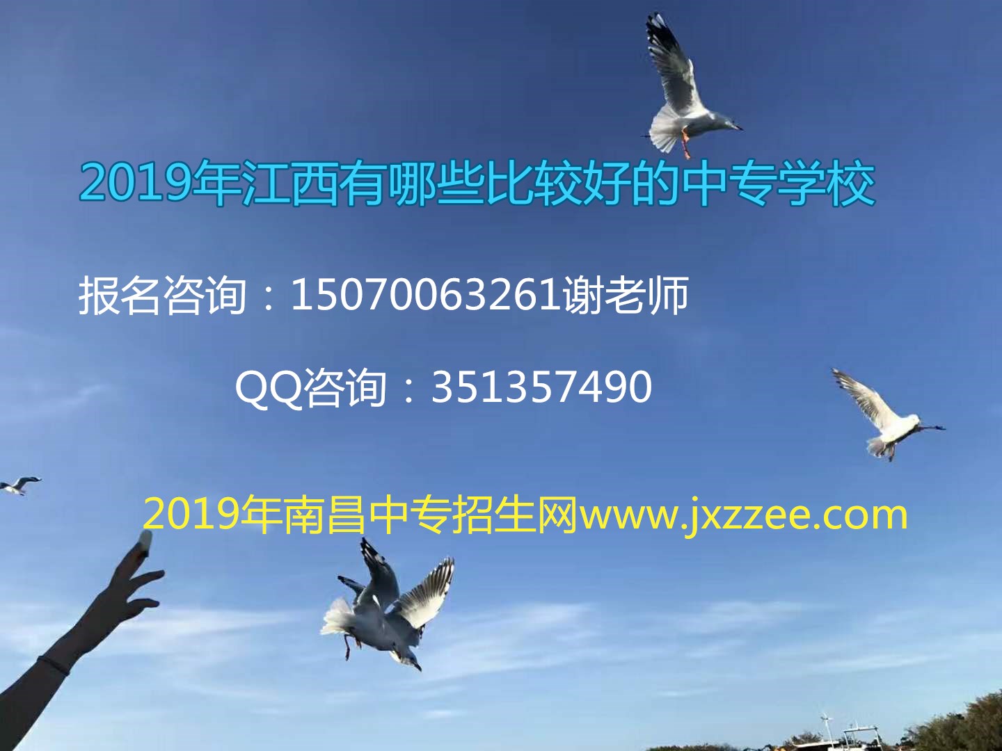 初三毕业读什么专业好