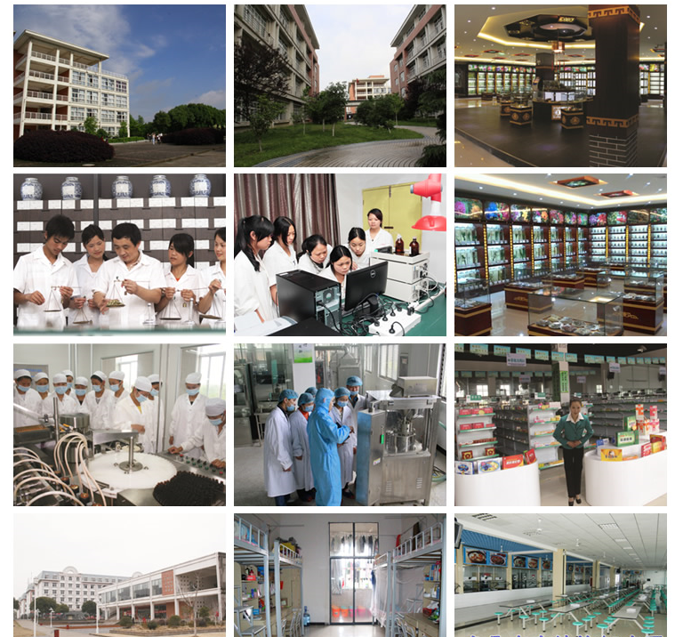 2019年江西医药技师学院招生简章